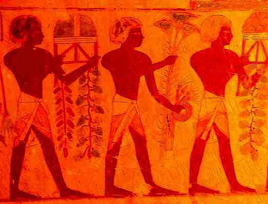 Dessin de tombe d'artisan Fresque antique du travail aux champs