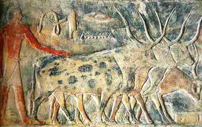 ancien égyptien amenant les vaches Bas relief de l'Egypte antique
